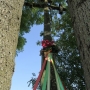 Mikicin - Wielki drewniany krzyż pomiędzy jesionami