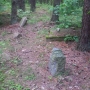 Stary cmentarz Żydowki