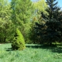 Jarczew - zabytkowy park