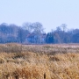 Widok z łąk nadnarwiańskich na drugą stronę Narwi i odremontowany dwór w Strabli.