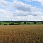 Cerkiew położona jest na niewielkim wzniesieniu skąd roztacza się wspaniały widok.