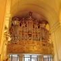 Obecne sejneńskie organy wybudował w 1907 roku Jonas Garalevicius, litewski organmistrz z Kowna. Poddane gruntownej renowacji w 2011 roku odzyskały dawny blask.